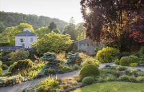 Celebrate St David’s Day with us at Colby Woodland Garden